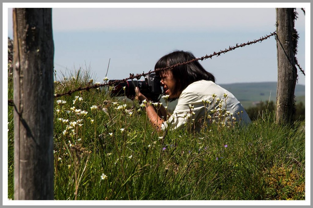 1053157_10201342956115304_455693140_o