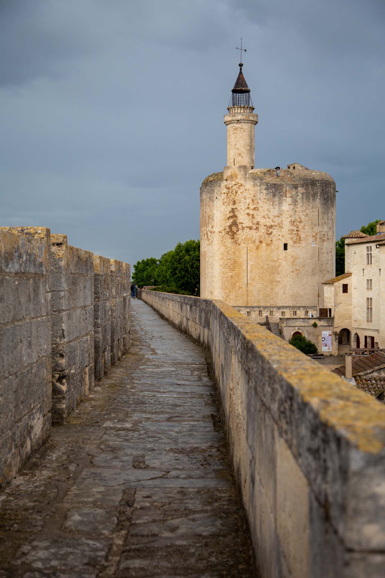 23-Aigues Mortes (4)