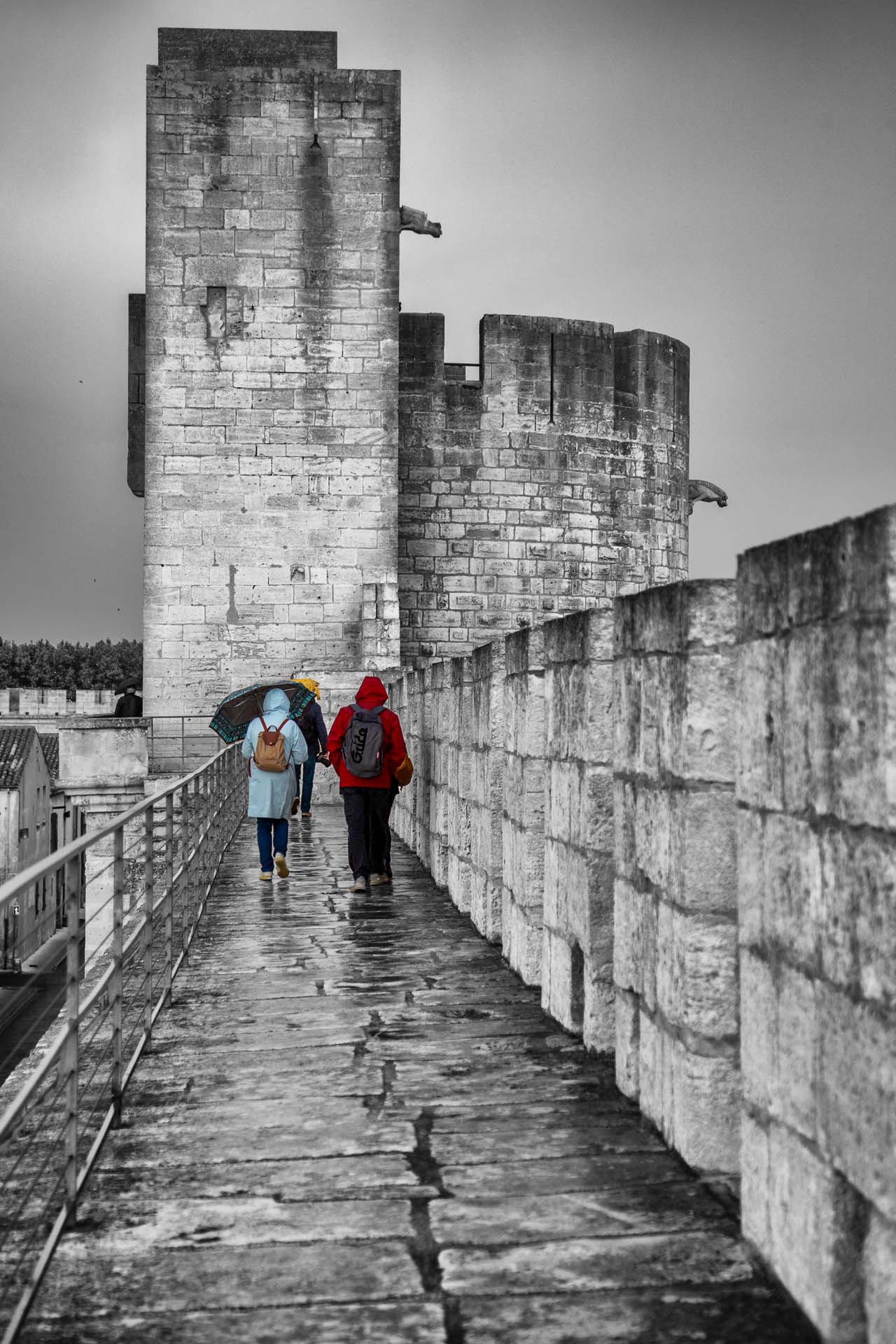 26-Aigues Mortes (5)