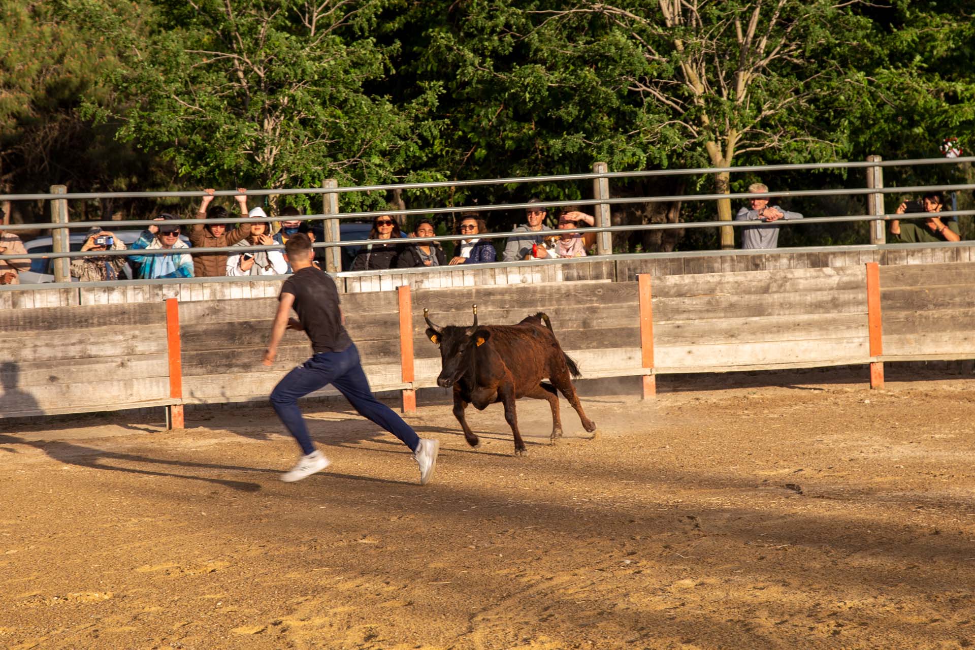 7-Mas de la contesse (3)