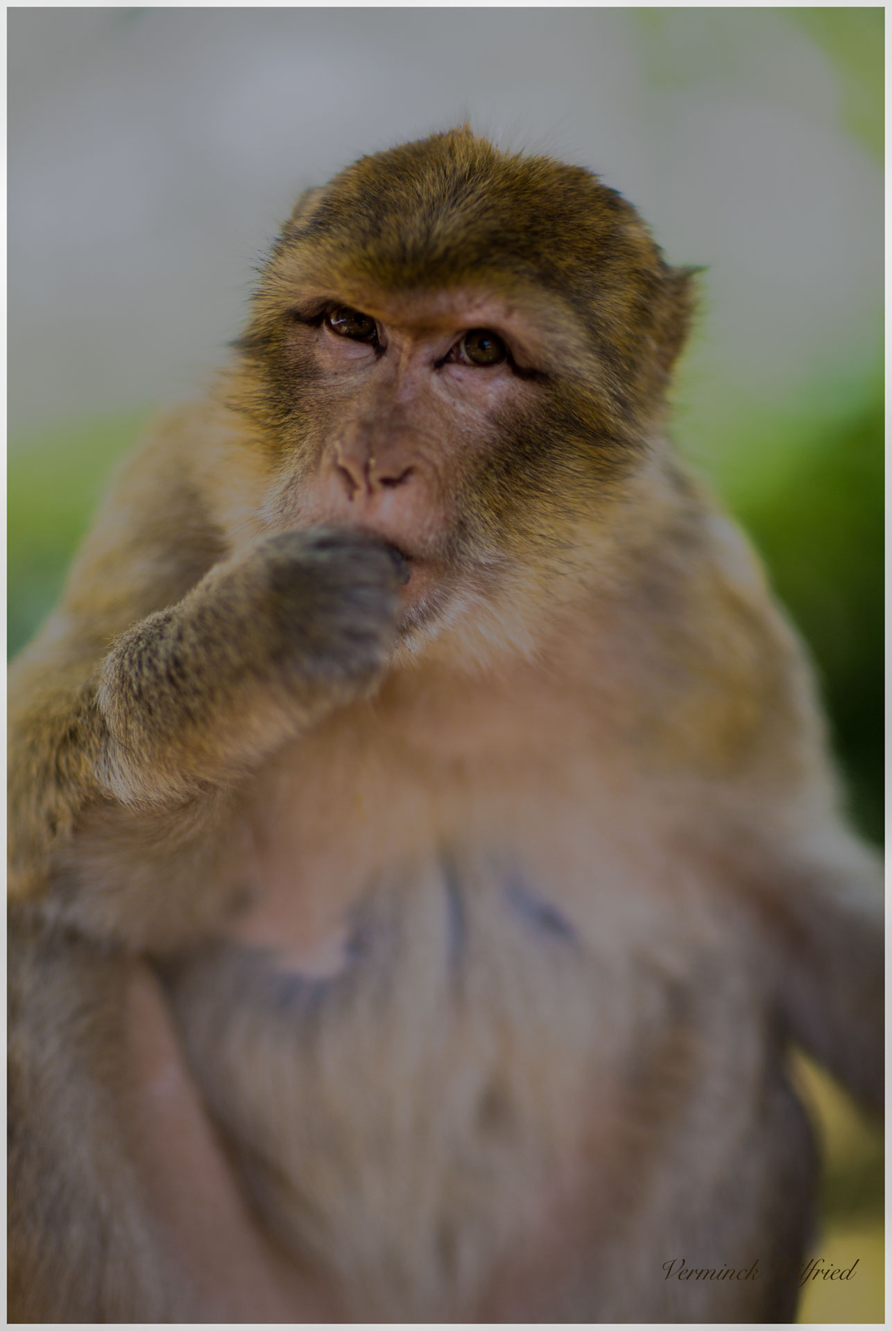 Tout est dans le regard par Wilfried